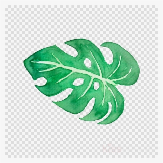 Download Tropical Leaf Watercolor Png Clipart Tropics - Tropical Watercolor Clipart Free
