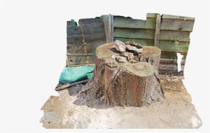 Tree Stump And Surrounding Area - Chair