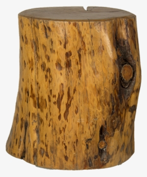 Cypress Stump Side Table 2