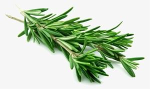 Herbs Soaps - Rosemary Leaves