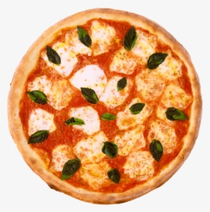 Pizza From Top Margherita