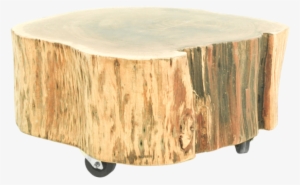 Natural Tree Stump Accent Table - Coffee Table