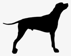 Dog-vector - Dog Shape