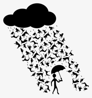 How To Set Use Raining Cats And Dogs Clipart