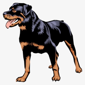 Vector Illustration Of Family Pet Rottweiler Guard
