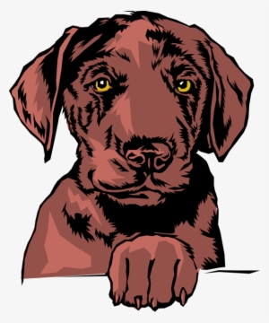 Vector Illustration Of Family Pet Brown Dog With Paw - Labrador,-chocolate.png Shower Curtain