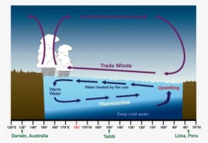 Normal Tropical Weather Pattern Across The Equator - Normal El Nino And La Nina