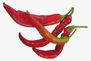 Pepper Clipart Chili Pepper - Chili Peppers Transparent Background