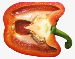 Download Red Sweet Pepper Png Image - Bell Pepper