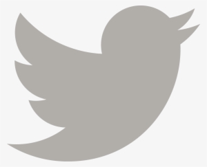 Twitter Icon Png Gray Download - Twitter Logo Vector Grey