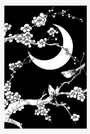 Little Sakura Tree Branches, The Crescent Moon And - Moon