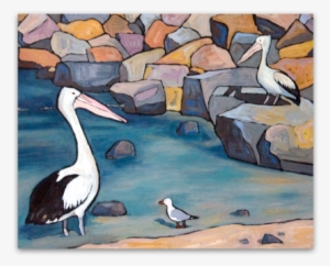 pelicans - pelican