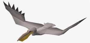 Pelican - Model Aircraft