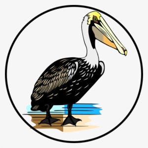Original Png Clip Art File Pelican Svg Images Downloading