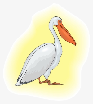 Bird, Background, Art, Pelican, Animal, Beak - Pelican