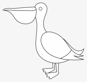 Brds Clipart Pelican - Seabird
