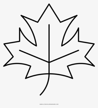 Colorings Maple Leaf - Hoja De Maple Dibujo Png