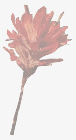 1953 - Artificial Flower