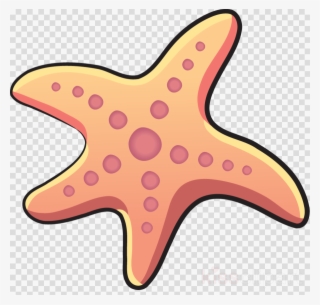 Starfish Cartoon - Gambar Bintang Laut Kartun