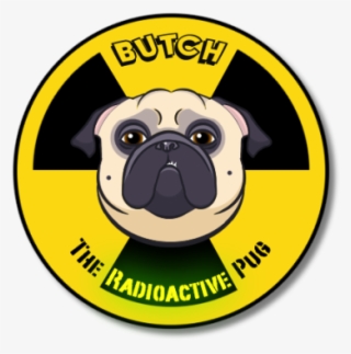 Butch, The Radioactive Pug - Pug