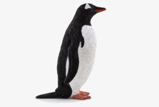 Animal Planet - Gentoo Penguin