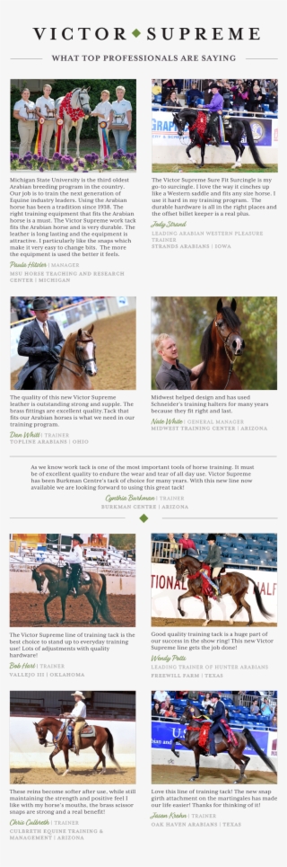 What Top Professionals Are Saying About Victor Supreme - Horse