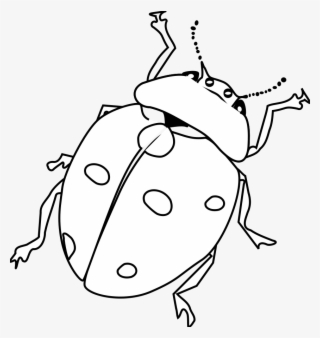 How To Set Use Ladybug Line Art Icon Png