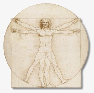Leonardo Da Vinci Vitruvian Man Full - Leonardo Da Vinci Vitruvian Man For Kids
