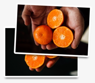 Organic Clementine Mandarins - Blood Orange