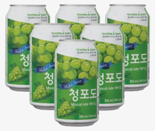 Ilhwa Green Grape Soda [6 Cans] - Hong Kong Television Network Ltd