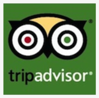 Tripadvisor 03/01/2018 - Tripadvisor Interactive Luggage Tag - Tripadvisor Owl