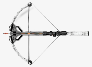 Pony - Top Down View Of Crossbow