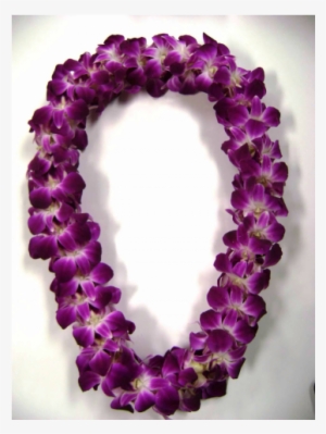 Lavender Dendrobium Orchid Lei - Mumbai