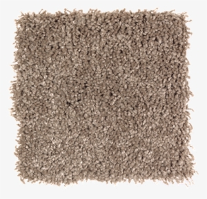 Tender Moments-driftwood Copy Copy - Petproof Sachet Ii Color Texture 12 Ft. Carpet