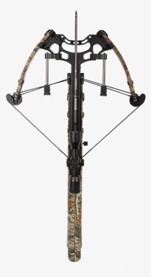 Concorde 175 Lbs - Compound Bow