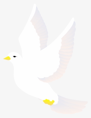 How To Set Use Bird White Clipart