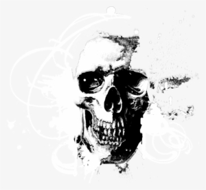 Skull Vector - Transparent Vector Skull