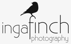 Atlanta Wedding Photographer - Photographer