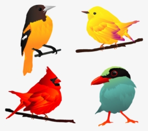 Comic Bird Free Vector - Beautiful Birds Clip Art