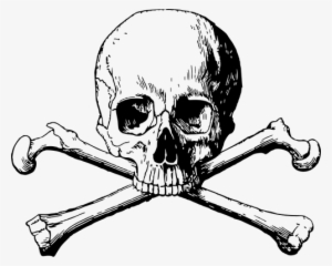 Banner Free Stock Skull And Bones Drawing At Getdrawings - Skull And Bones Png