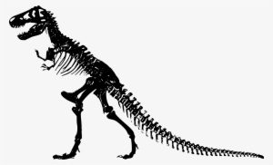 Skeleton - T Rex Skeleton Clip Art