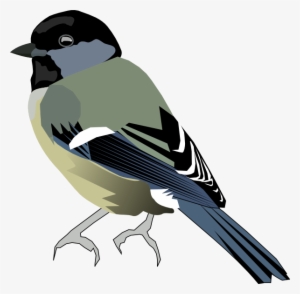 Birds Vector Png - Tit Bird Transparent