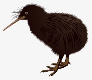Kiwi Bird Clipart Kea - New Zealand Kiwi Png