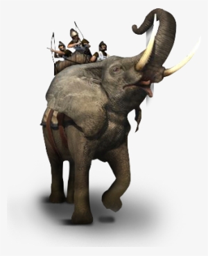 Total War - Elephant And Rider Png
