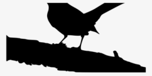 Png Mockingbird - Mockingbird Silhouette Transparent