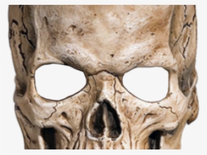 Skeleton Head Png Transparent Images - Skull Mask No Background