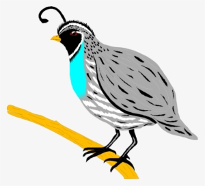 Mockingbird Clipart Hostted - Quail Clipart Png