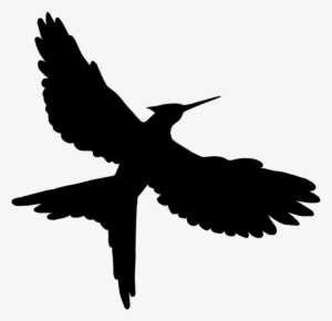 Northern Mockingbird Clip Art Bird Png Download 958 - Mockingjay Png