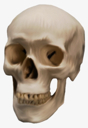 Skeleton, Skull Png - Skull