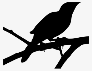 Click - To Kill A Mockingbird